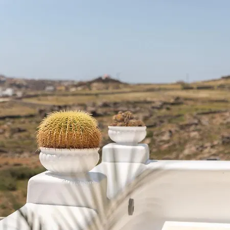 Aparthotel Sea&stone Mykonos Platys Gialos (Mykonos)